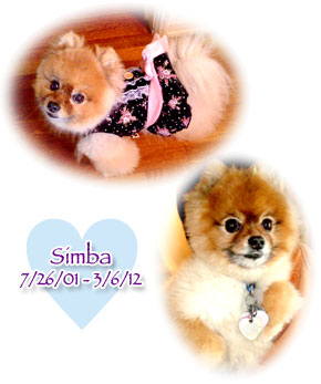 simba